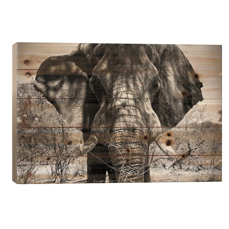 Elephant Portrait Print On Wood by Philippe Hugonnard - Multi-Color - 18x26x1.5