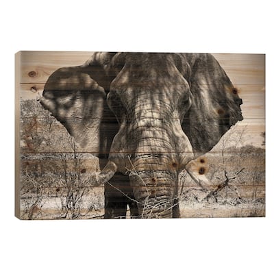 Elephant Portrait Print On Wood by Philippe Hugonnard - Multi-Color