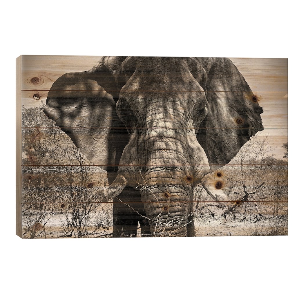 Elephant Portrait Print On Wood by Philippe Hugonnard - Multi-Color