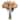 Blooming Roses/ Vase