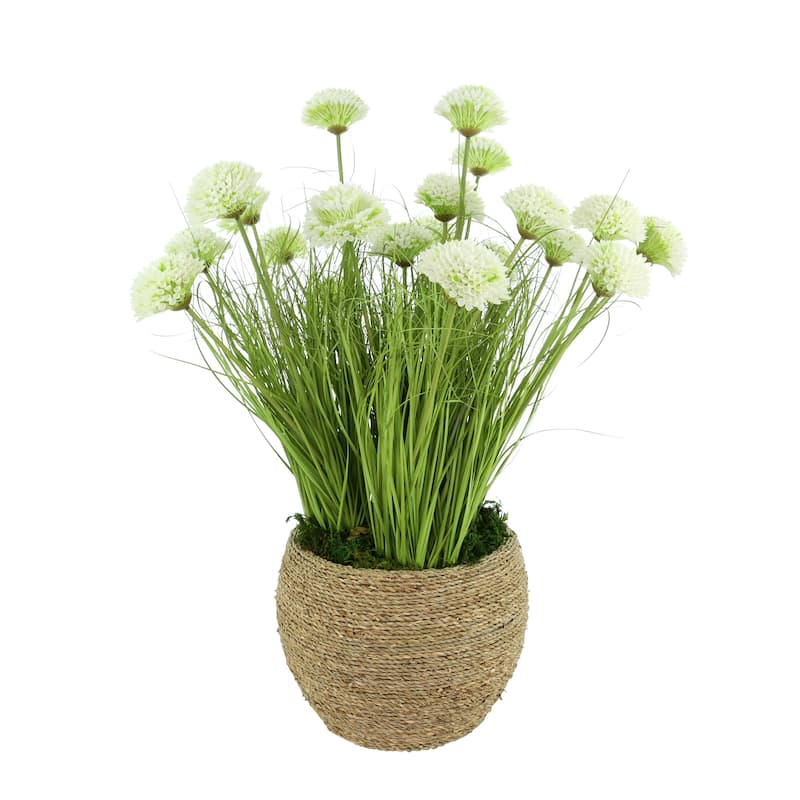 Dahlias and Grass in Pot - 29