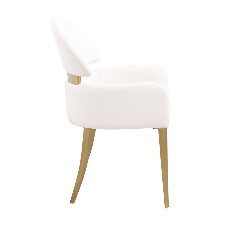 Furniture of America Luvien Modern Padded Fabric Dining Chairs (Set of 2)
