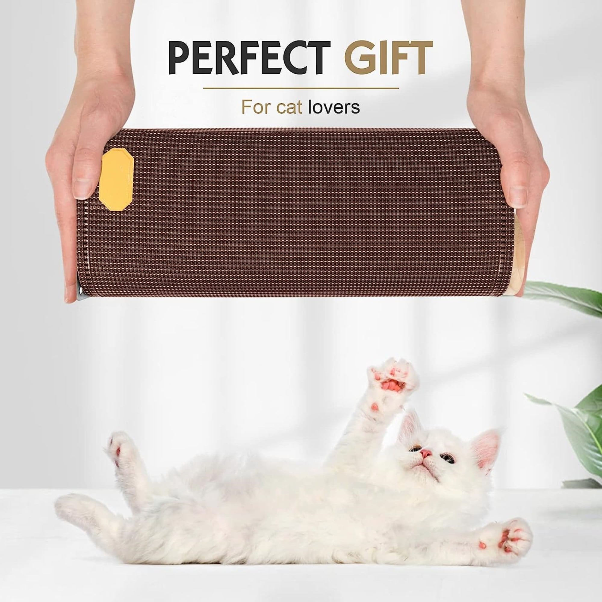 Bed bath and beyond cat perch 2025