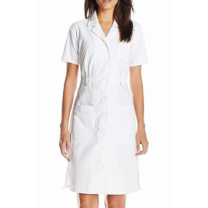 dickies nurse dress