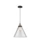 Option Clear / Black Antique Brass