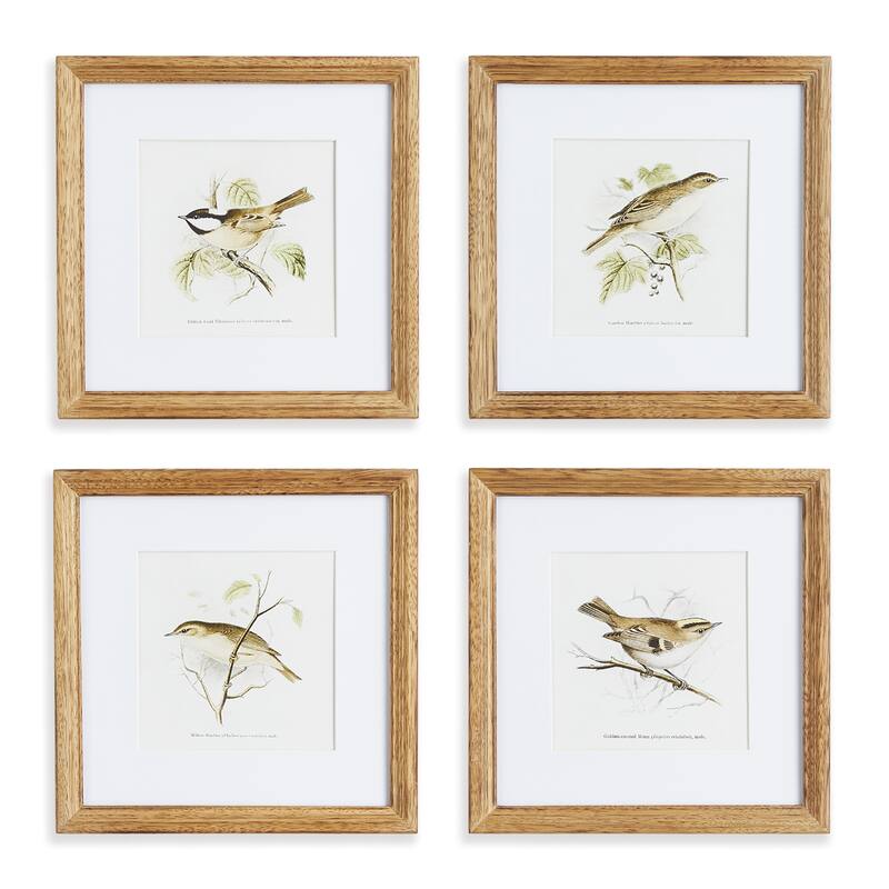 Perching Bird Study Petite
