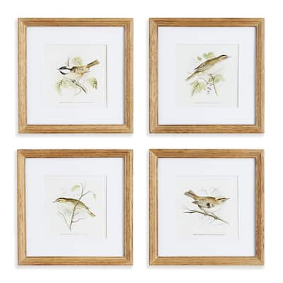 Perching Bird Study Petite