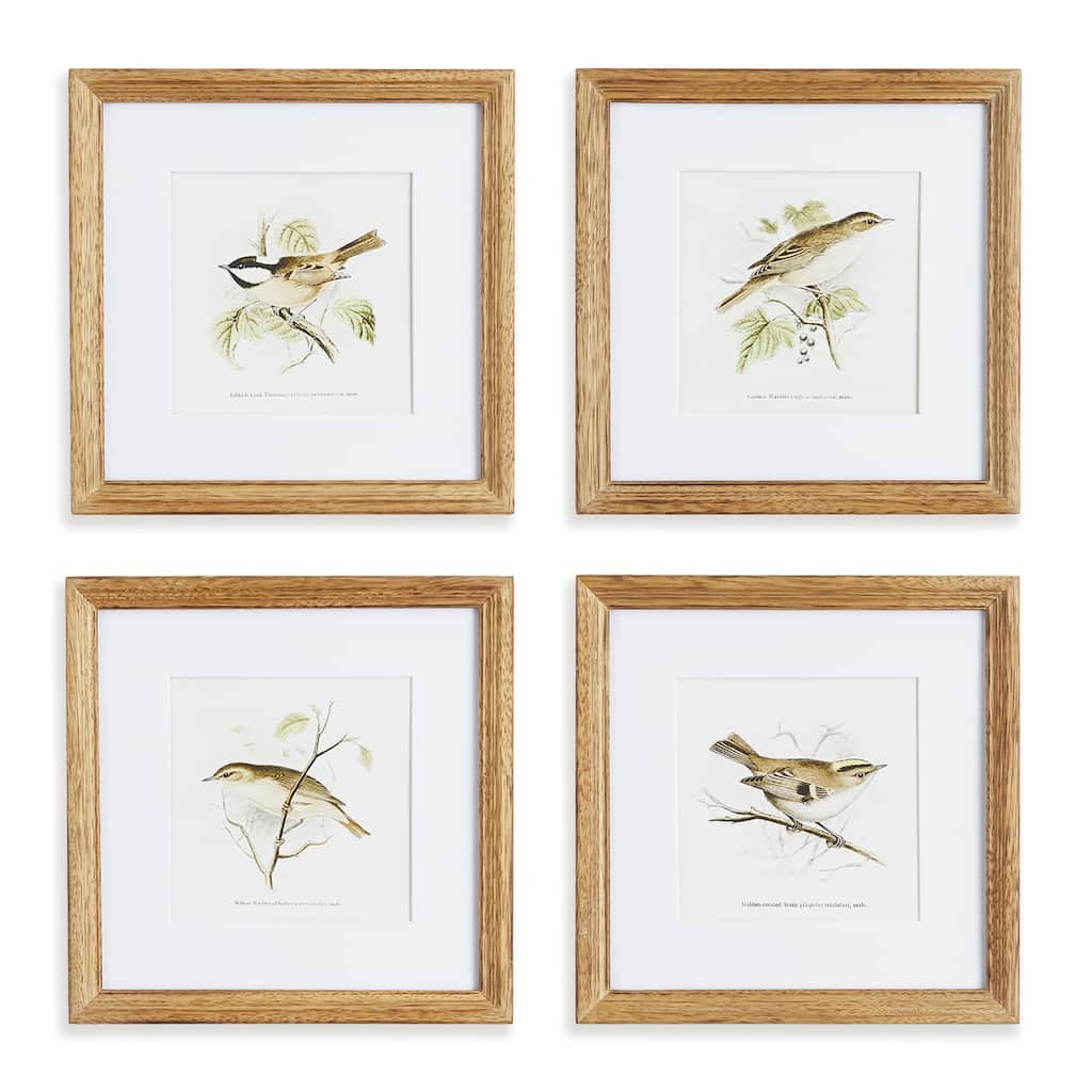 Perching Bird Study Petite