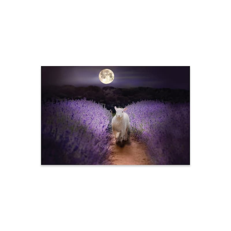 Little Lamb Moonlight Print On Acrylic Glass by Karen Burke - 16x24x0.25