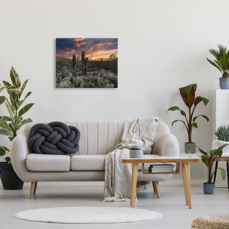 Stupell Arid Desert Cactus Sunset Stretched Canvas Wall Art, Design by Nathan Larson