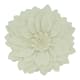 Option Ivory