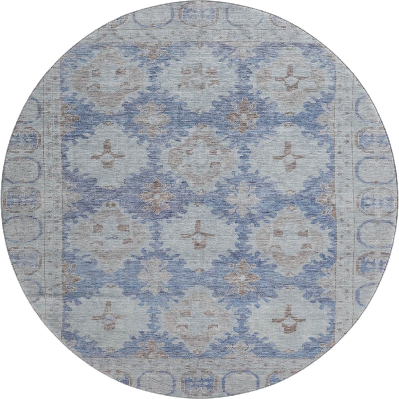 Premium Washable Super Soft Vintage Traditional Mayfield Rug