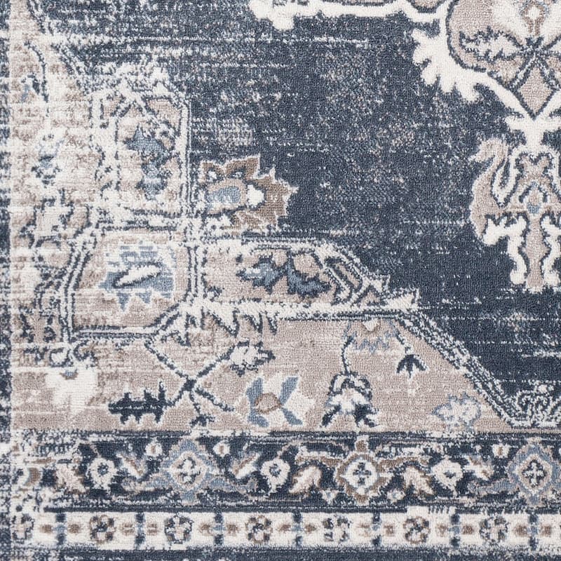 Moesha Traditional Medallion Area Rug