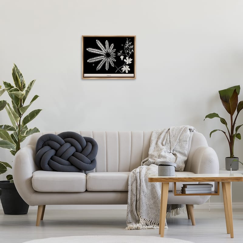 Stupell Ferns & Leaves on Black Framed Floater Canvas Wall Art Design By Phillipa Katz
