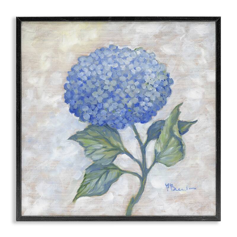 Stupell Traditional Blue Hydrangea Bloom Framed Giclee Art Design By Paul Brent - 12 x 12 - Black