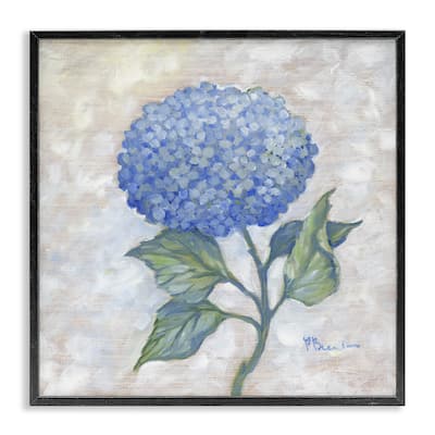 Stupell Traditional Blue Hydrangea Bloom Framed Giclee Art Design By Paul Brent