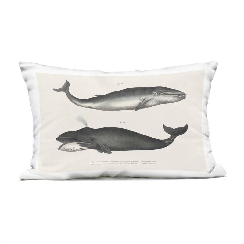 Stupell Vintage Whale Study Diagrams Printed Outdoor Throw Pillow Design by Phillipa Katz - Accent - Polyester - Grey - Single