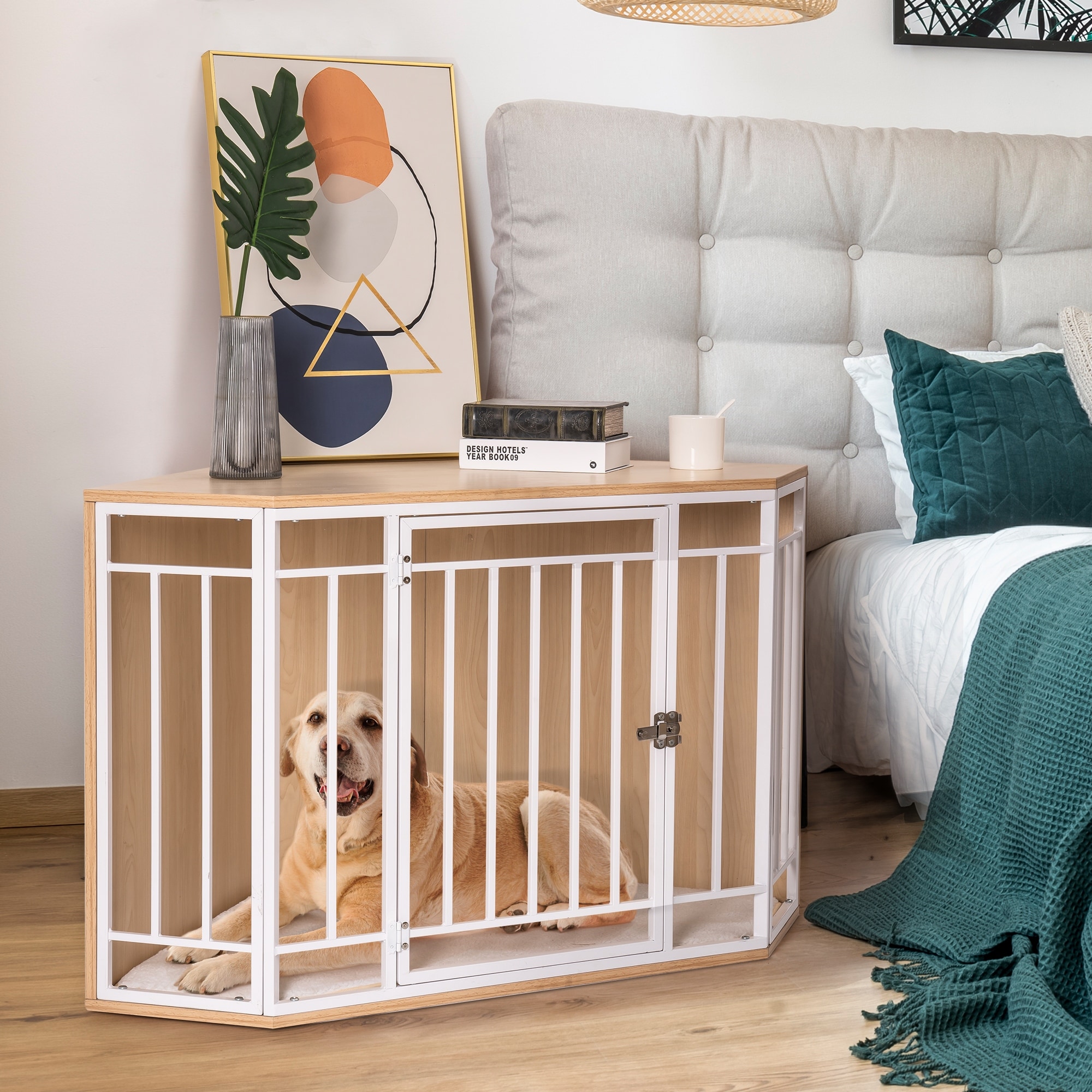 Corner 2025 dog crates