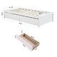 preview thumbnail 19 of 21, Twin Platform Bed with 2 Drawers, Solid Wood Storage Platform Sofa Bed Frame for Living Room & Bedroom, No Box Spring Needed