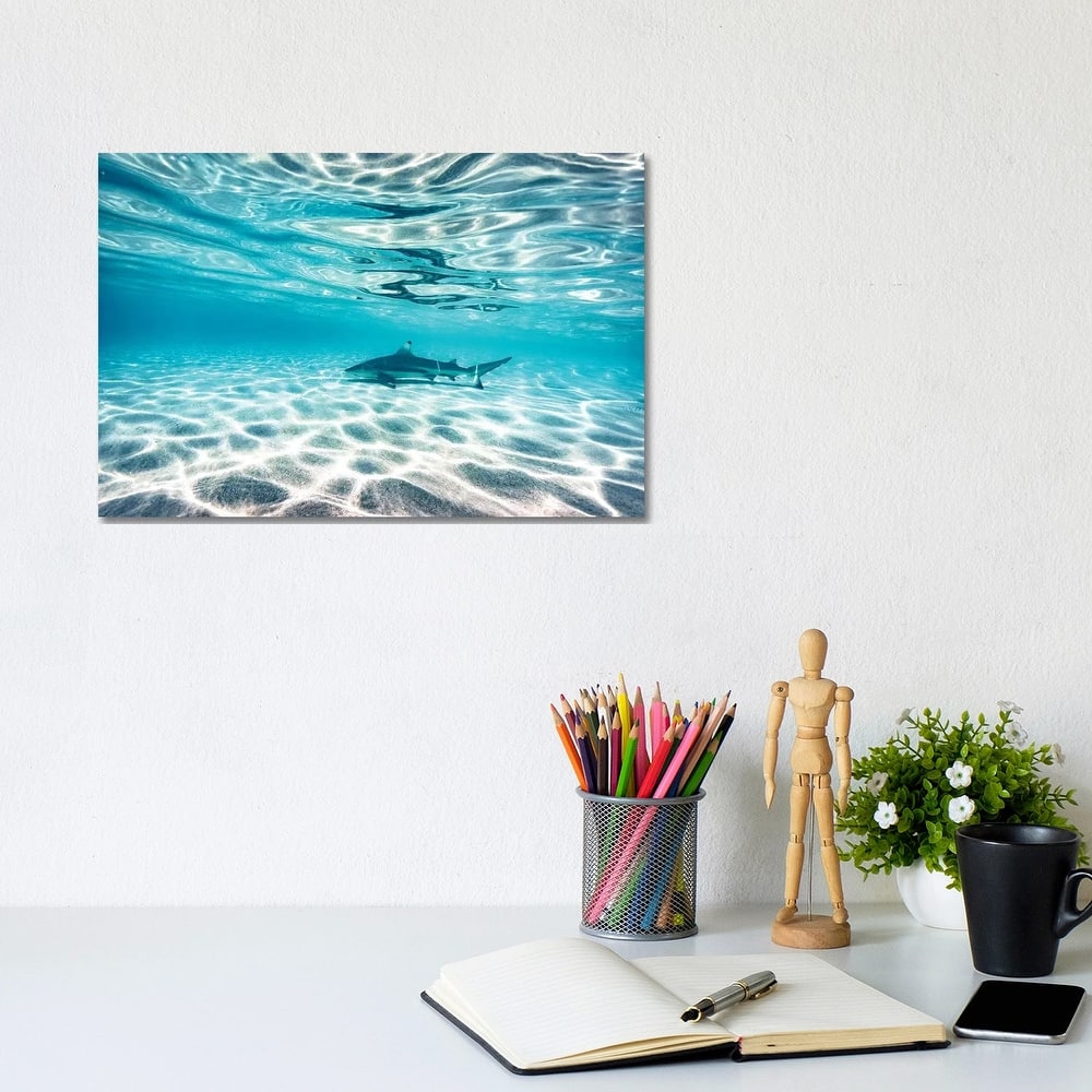 iCanvas "Underwater Reef Shark Shallow Water" by James Vodicka Canvas Print