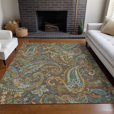 Machine Washable Indoor/ Outdoor Paisley Chantille Rug