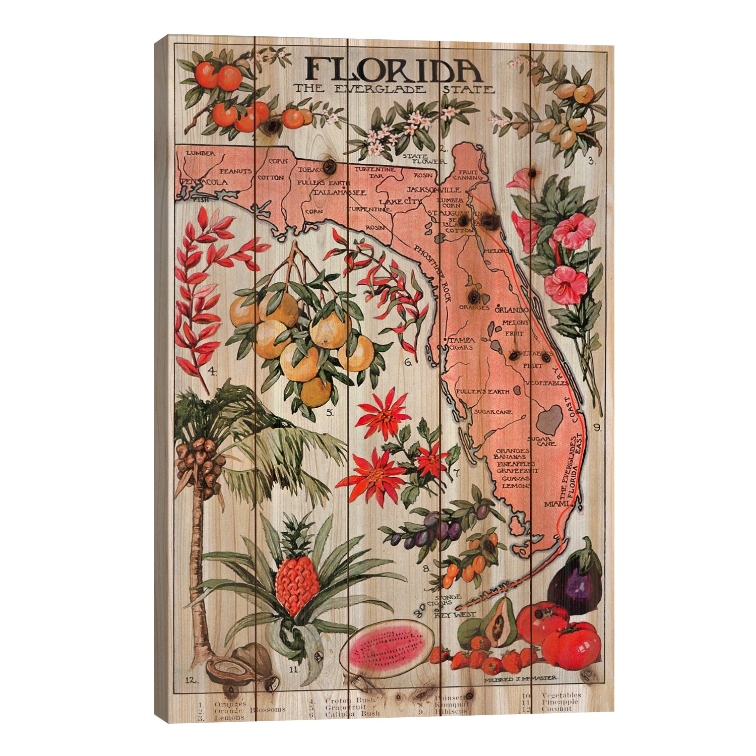 State Map of Florida (Natural Resources) - Vintage Poster Print On Wood by Unknown Artist - Multi-Color