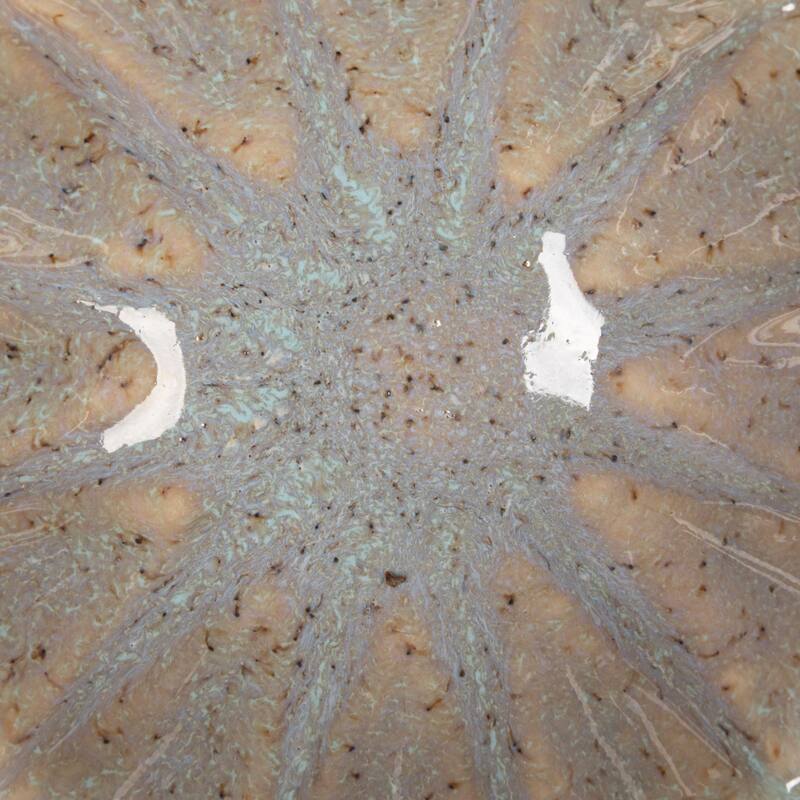 Stoneware Flower Bowls