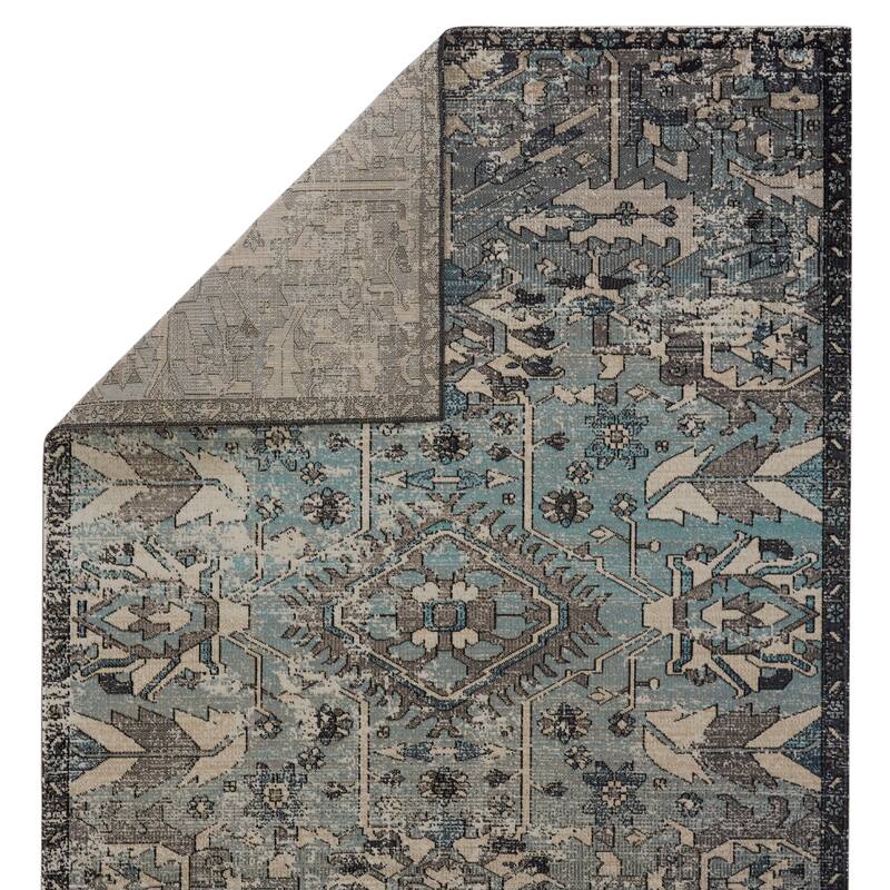 Zandra Indoor/ Outdoor Medallion Area Rug