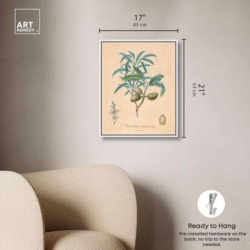 Almond of Georgia II Canvas by Art Remedy