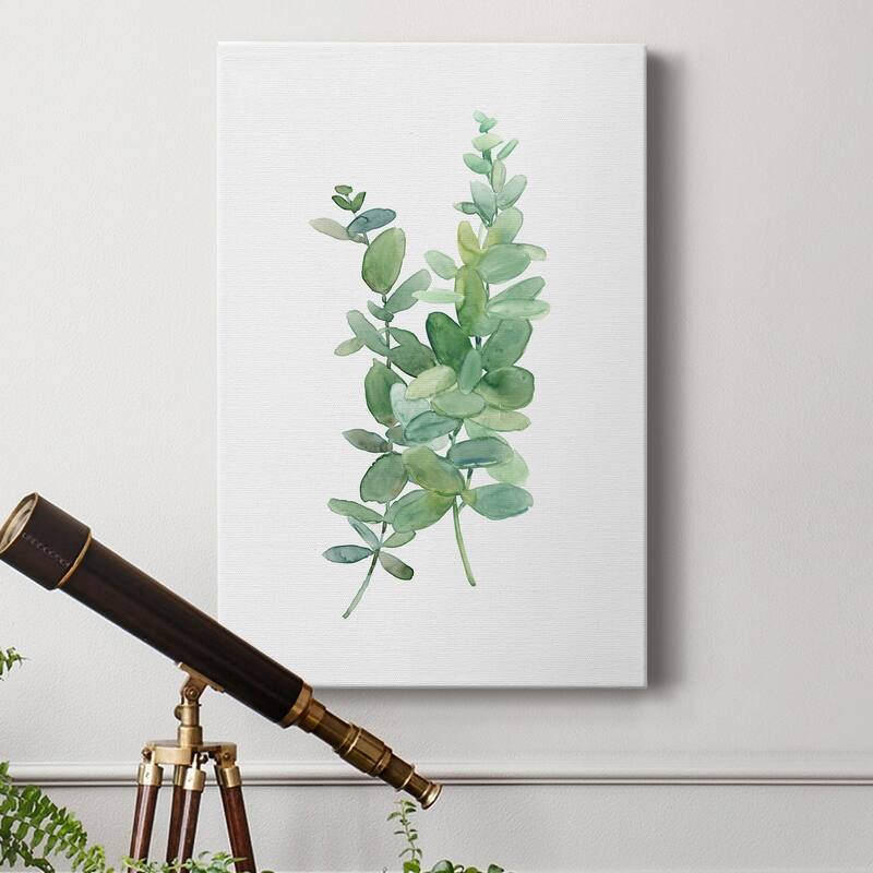 Eucalyptus I Premium Gallery Wrapped Canvas - Ready to Hang