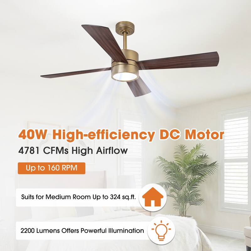 52" Modern Gold Integrated LED Dimmable Reversible Smart Ceiling Fan with RGB Light, Remote and APP Control