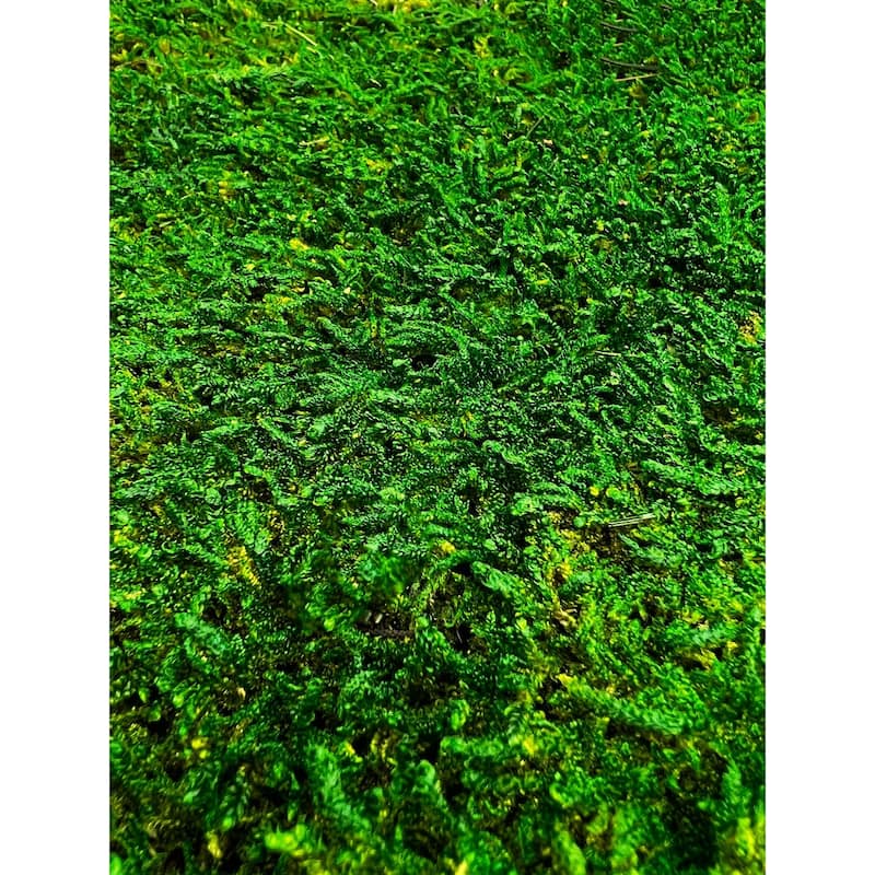 Green Flat sheet Moss 2 sq feet - 12x12 - Bed Bath & Beyond - 39997149
