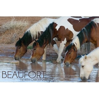 Shop Beaufort North Carolina Ponies Drinking Lantern Press