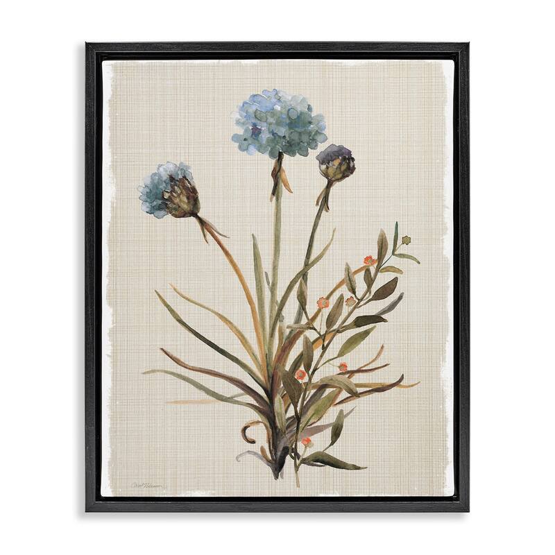 Stupell Natural Hydrangea Buds Framed Floater Canvas Wall Art Design By Carol Robinson - 25 x 31 - Black
