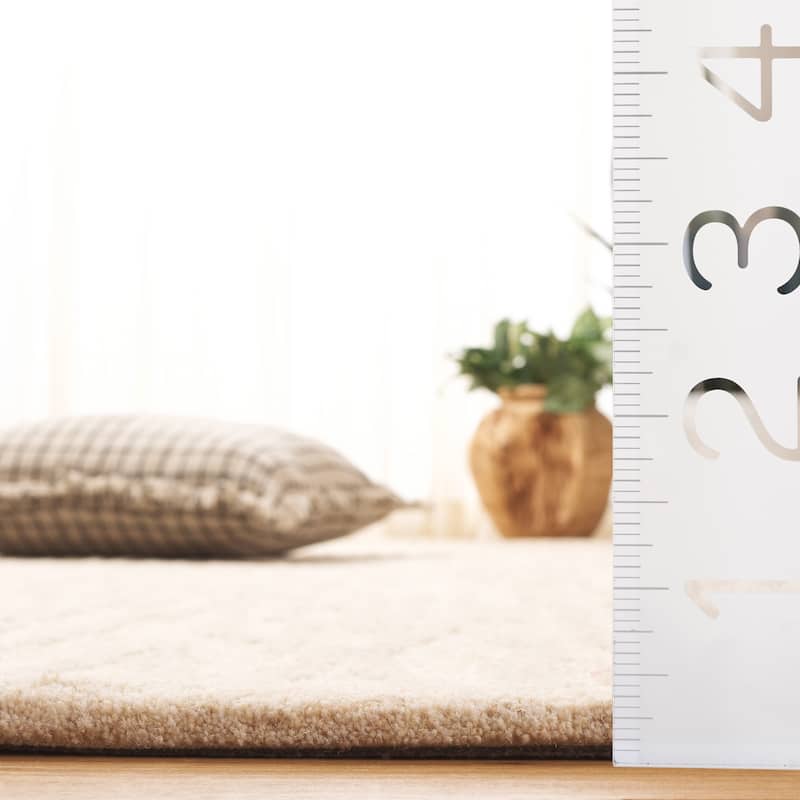 SAFAVIEH Handmade Ebony Trayanka Wool Rug