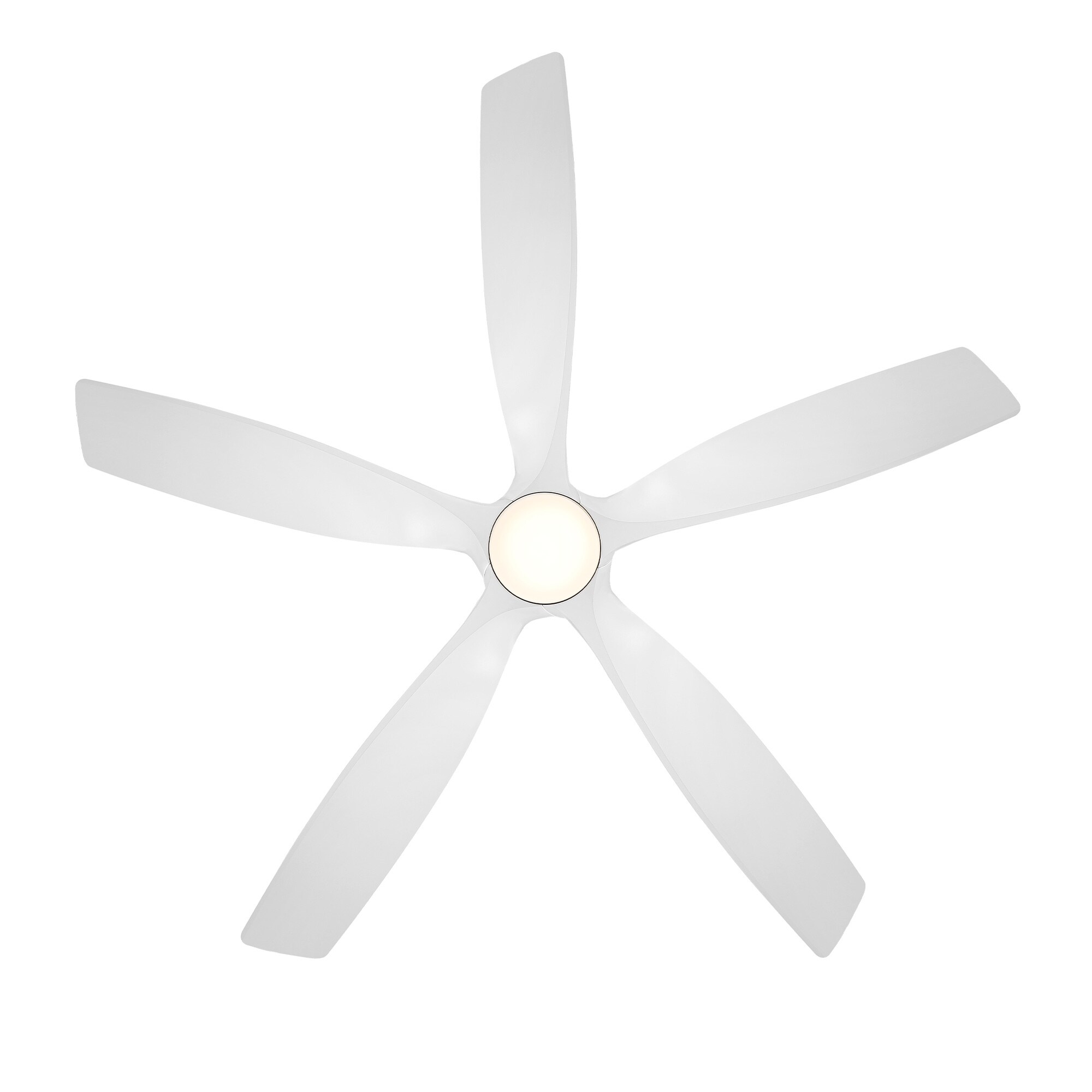 Zephyr Indoor or Outdoor 5-Blade 62in Smart Ceiling Fan - 62