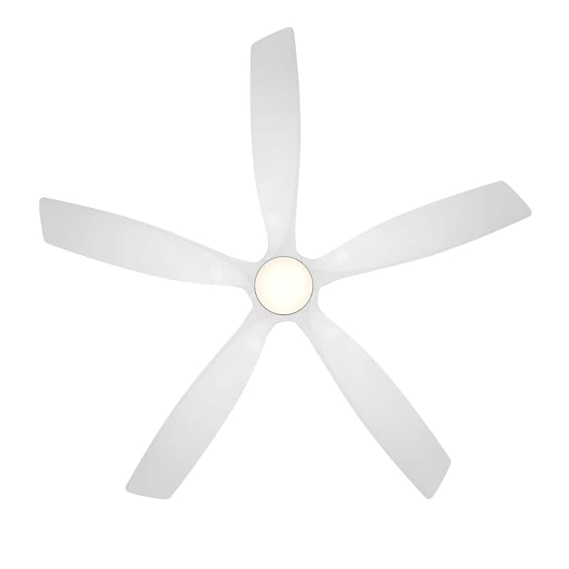 Zephyr Indoor or Outdoor 5-Blade 62in Smart Ceiling Fan - 62