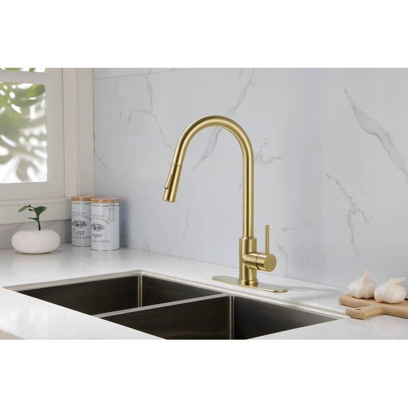 Kitchen Faucet with Pull Down Sprayer