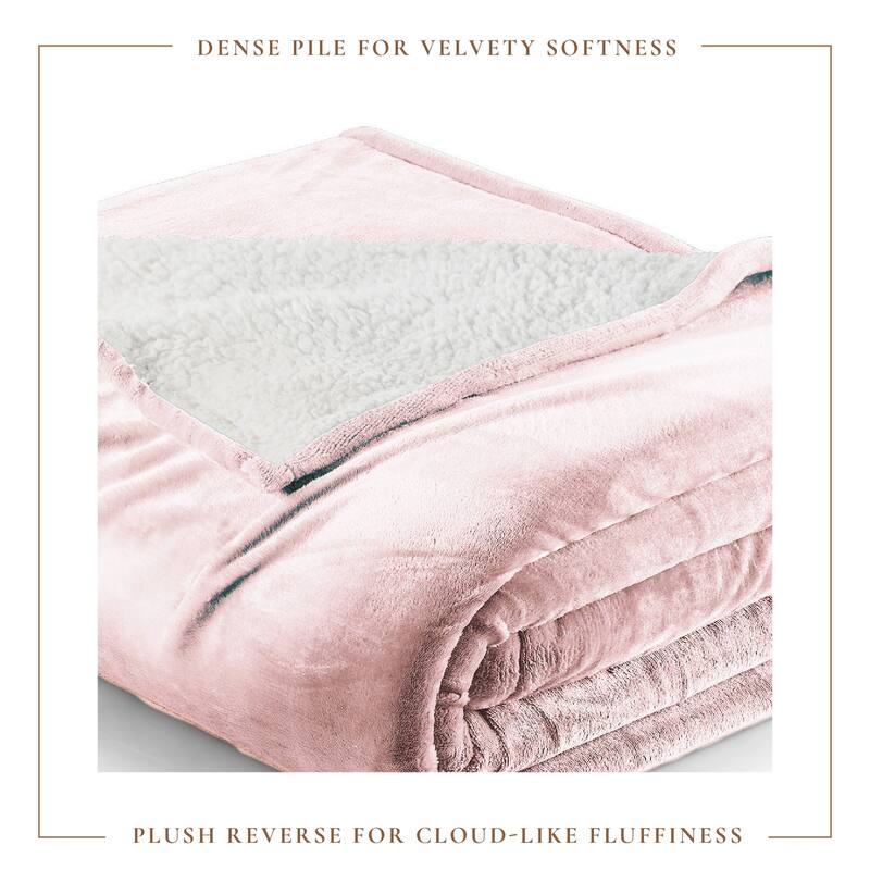 Linery & Co. Velvet Plush Reversible Sherpa Bed Blanket