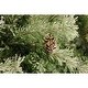 preview thumbnail 11 of 12, Fraser Hill Farm 9 Ft. Buffalo Fir Slim Artificial Christmas Tree with Multi-Color LED String Lighting