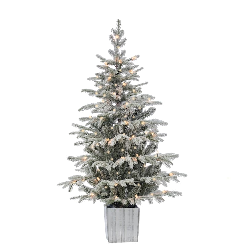 Elegant 4.5 Foot Potted Natural Cut Lightly Flocked Iceland Fir with Warm White LED Lights