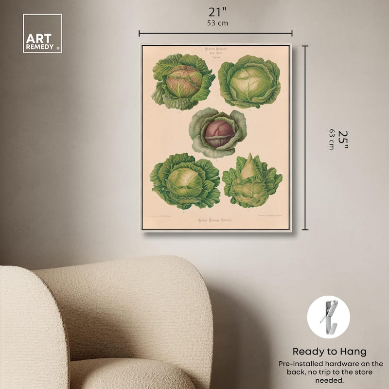 Cabbages by Benary 1876 Canvas by Art Remedy