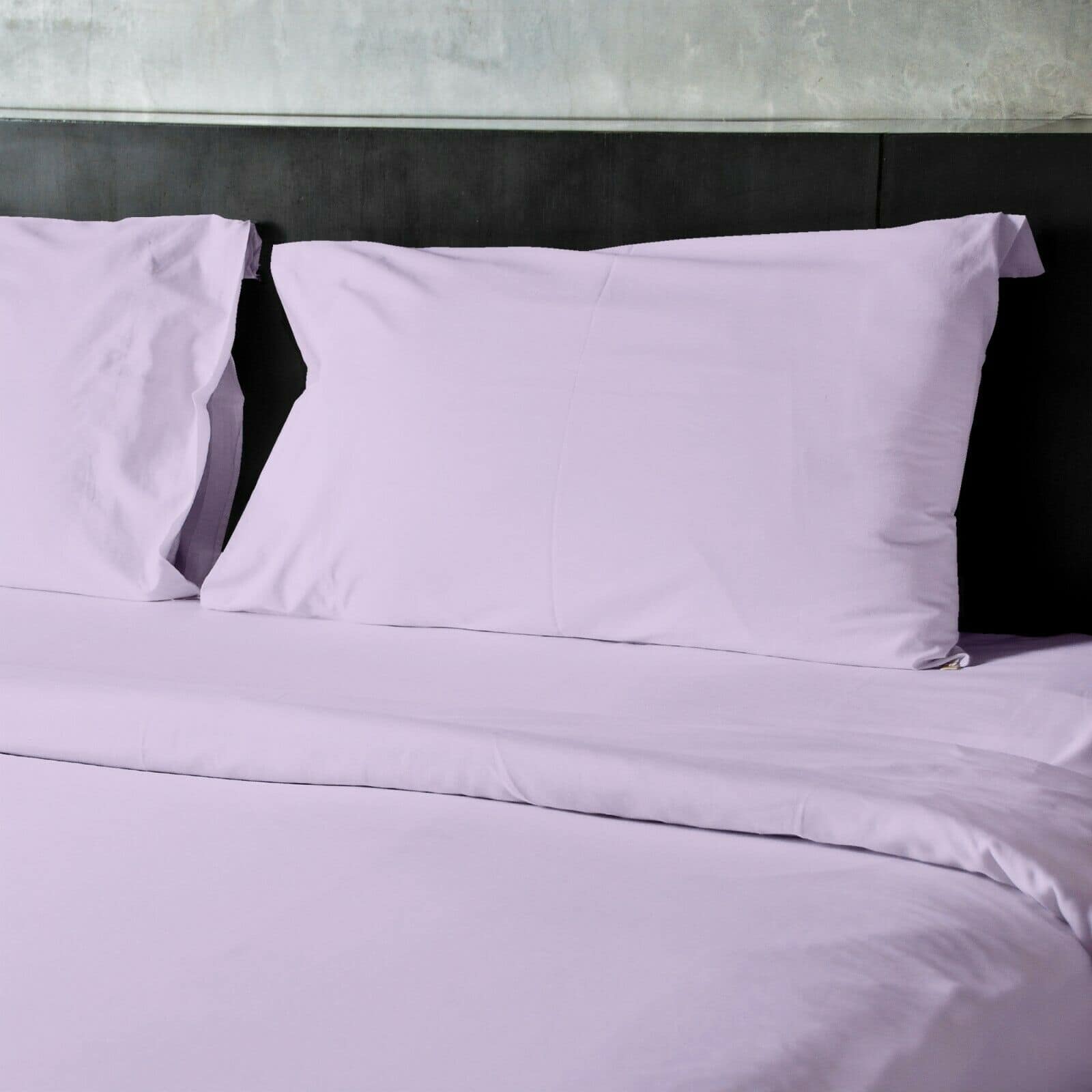 Option Lilac