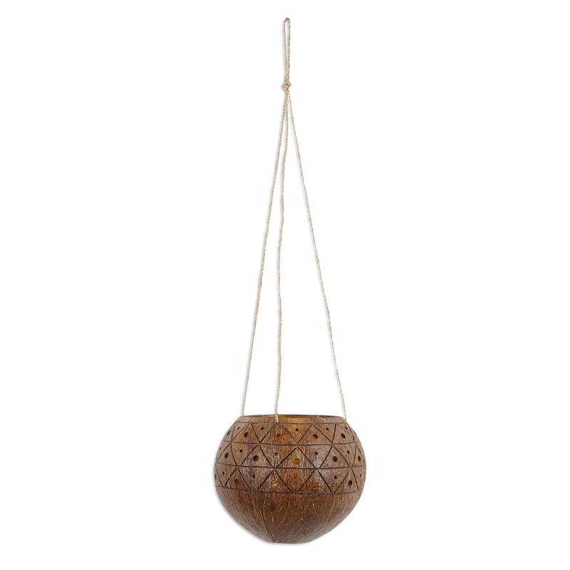 Novica Handmade Raindrops Coconut Shell Hanging Planter