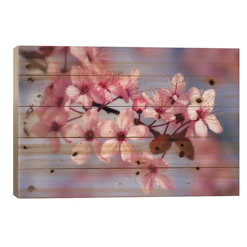 Cherry Blossoms In Zoom Print On Wood by Don Paulson - Multi-Color - 26x40x1.5