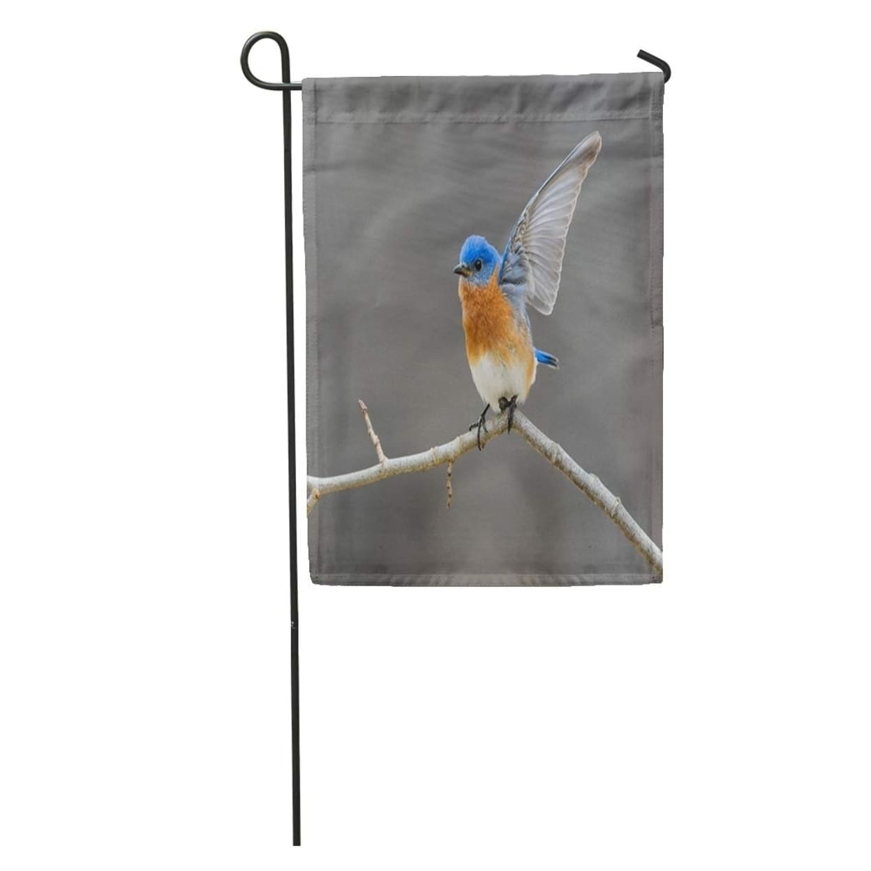 Blue Male Eastern Bluebird Open Wings Perched On Twig Avian Bird Garden Flag Decorative Flag House Banner 28x40 Inch N A Overstock 31334649