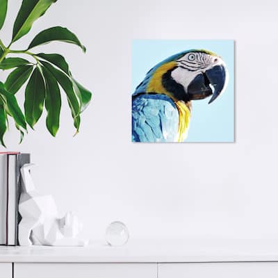 Wynwood Studio Canvas Animals Macaw Blue and Light Blue Tropical Wall Art Canvas Print