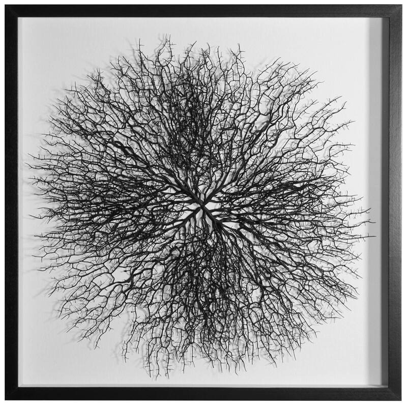 HUJI Roots On Linen Wall Art Decorative Accent