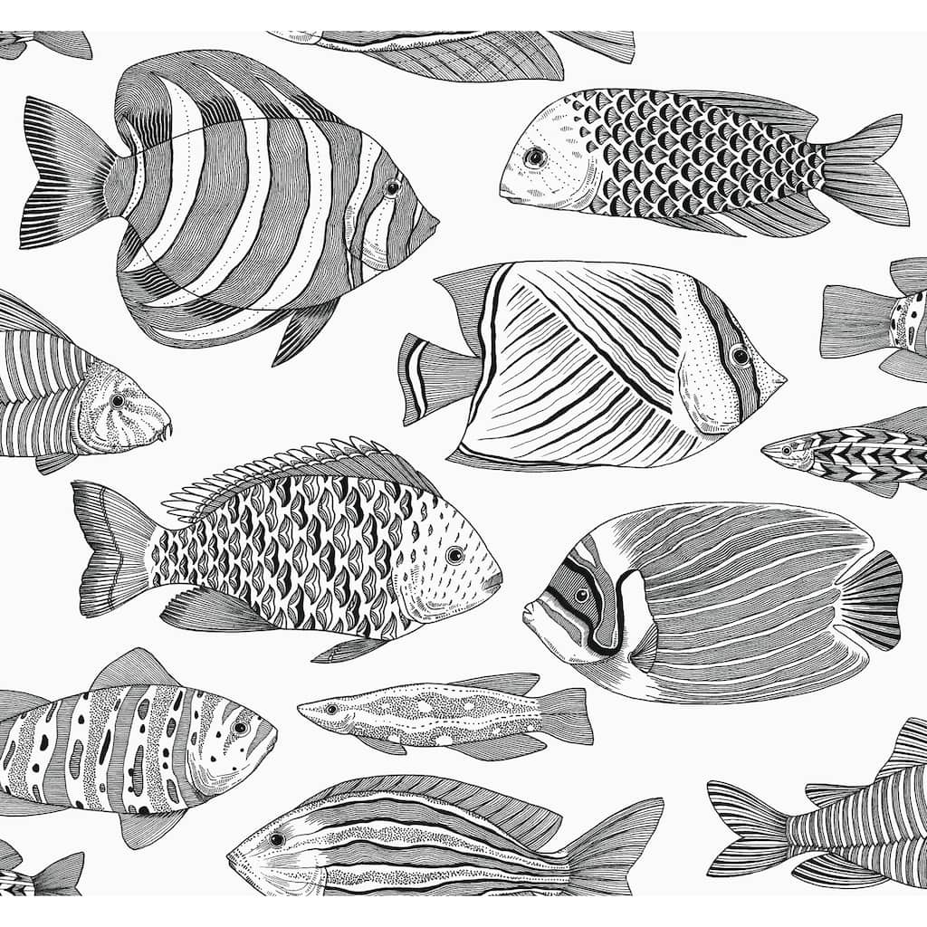 A-Street Prints Wailea Black Tropical School Wallpaper