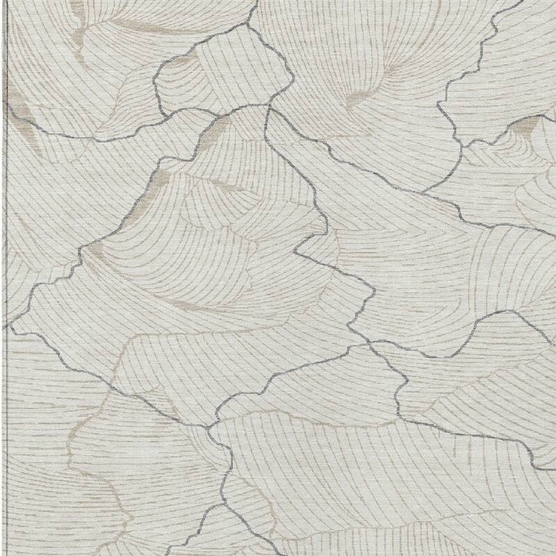 HomeRoots Abstract Transitional Rectangle Outdoor Rug